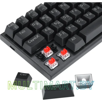 Клавиатура Defender Cairon GK-081 картинка 4